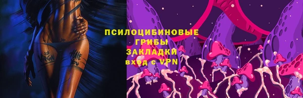 прущие крисы Алзамай