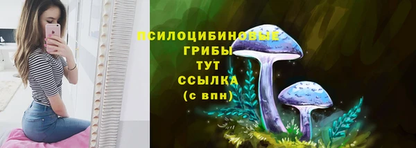 прущие крисы Алзамай