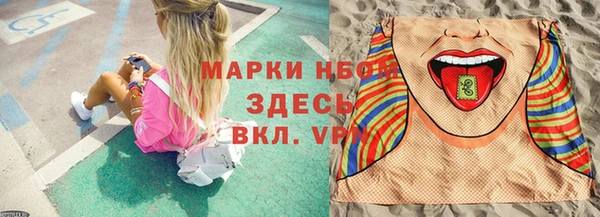 apvp Алексин
