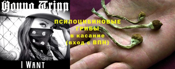 хмурый Медногорск